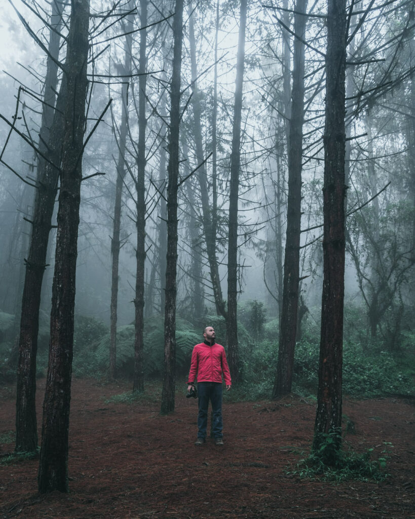 Retrato en bosque de niebla