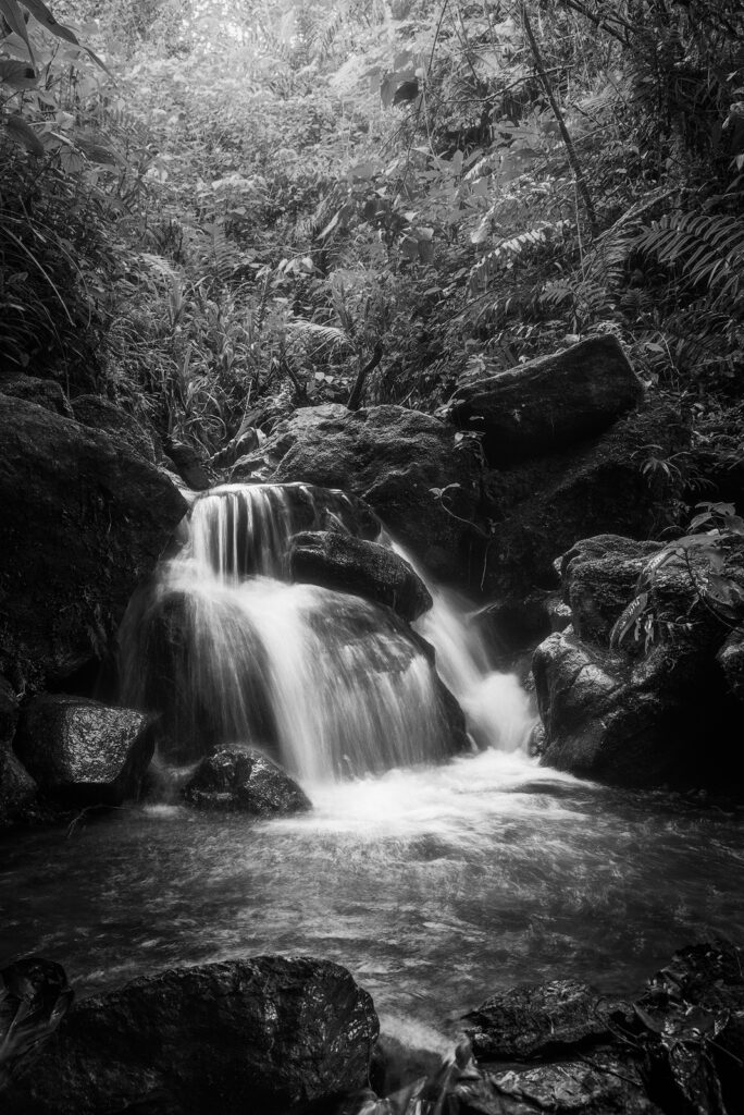 Cascada en ByN