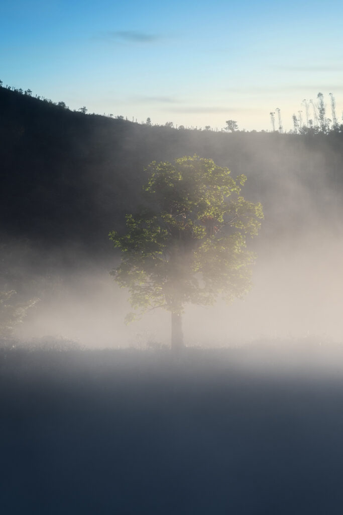 Amanecer entre niebla