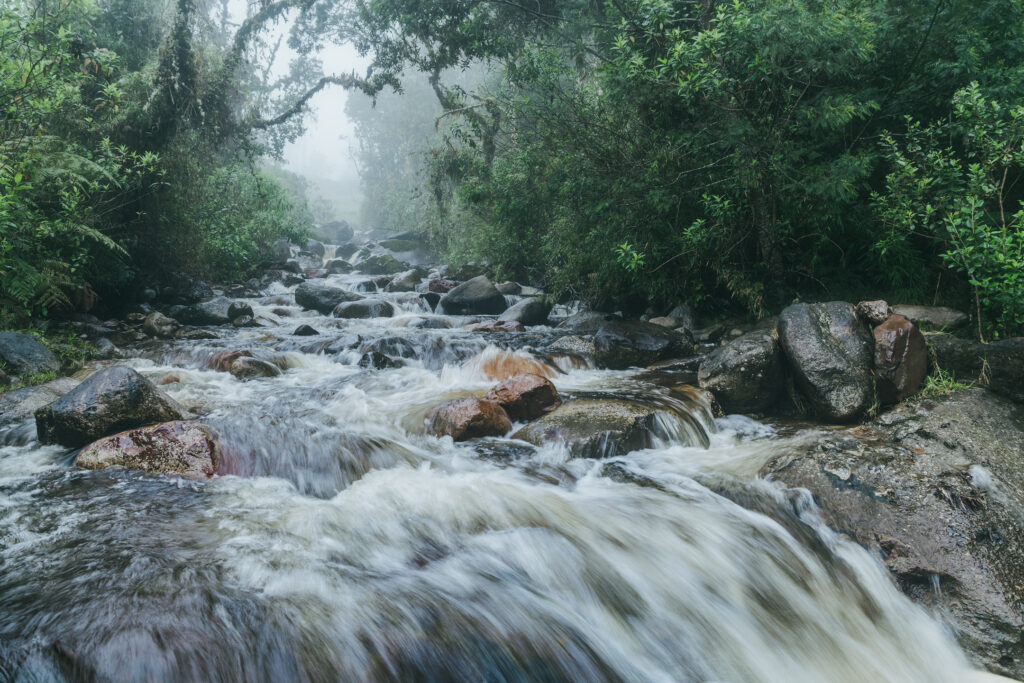 Rio de El Chuscal